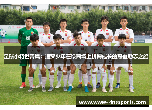 足球小将世青篇：追梦少年在绿茵场上拼搏成长的热血励志之旅