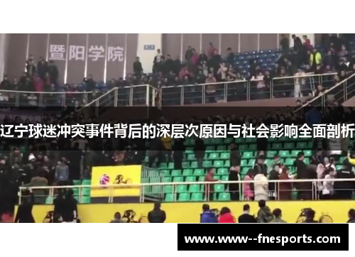 辽宁球迷冲突事件背后的深层次原因与社会影响全面剖析
